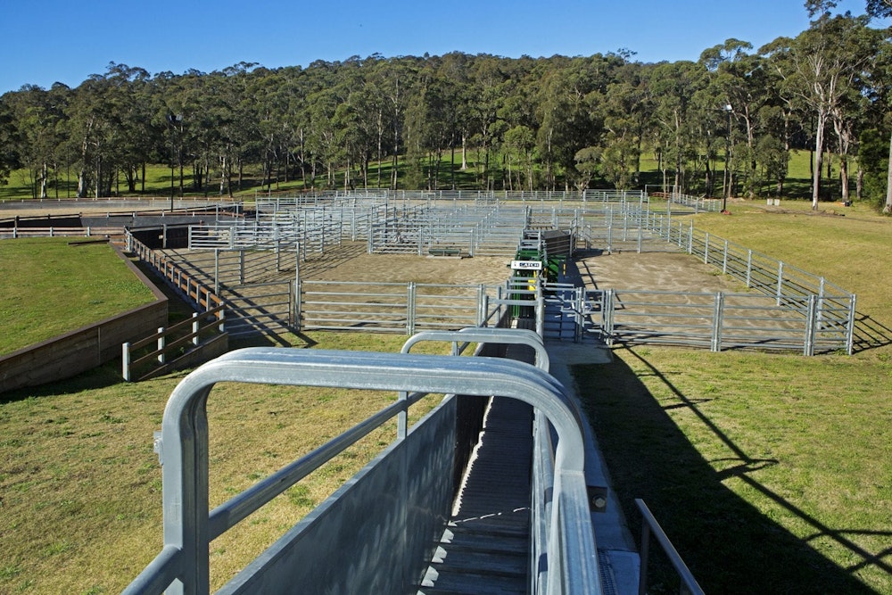 Willinga Park | Campdraft arena