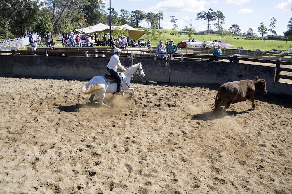 Willinga Park | Campdraft arena
