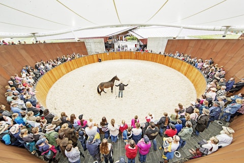 Image for Equine Venue Hire