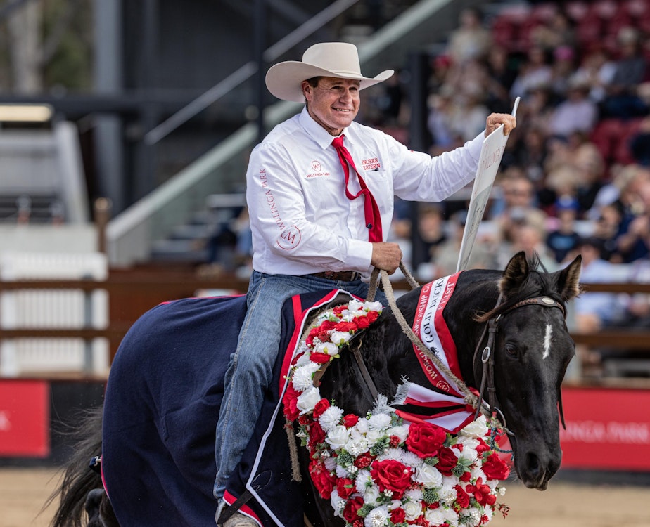 Image for Campdraft 2022