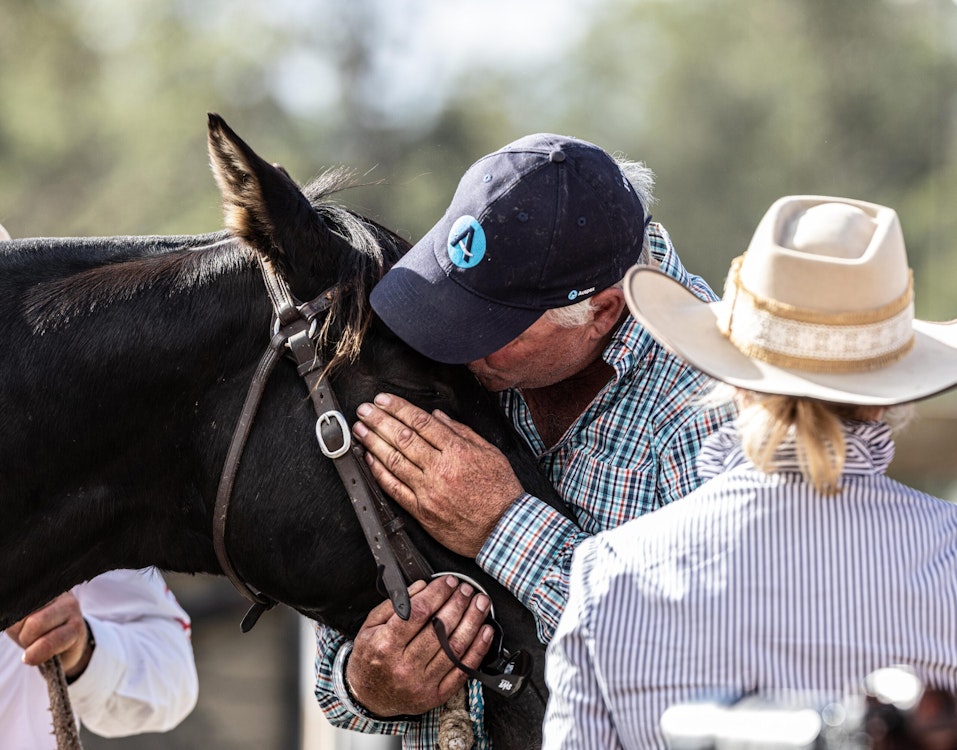 Image for Campdraft 2022