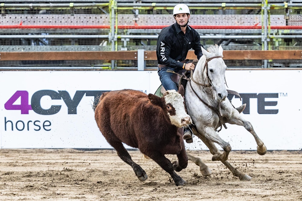 Image for Campdraft 2022