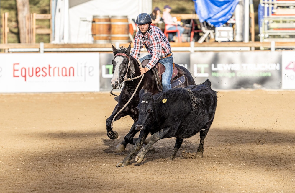 Image for Campdraft 2022