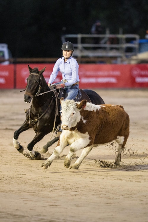 Image for Campdraft 2022