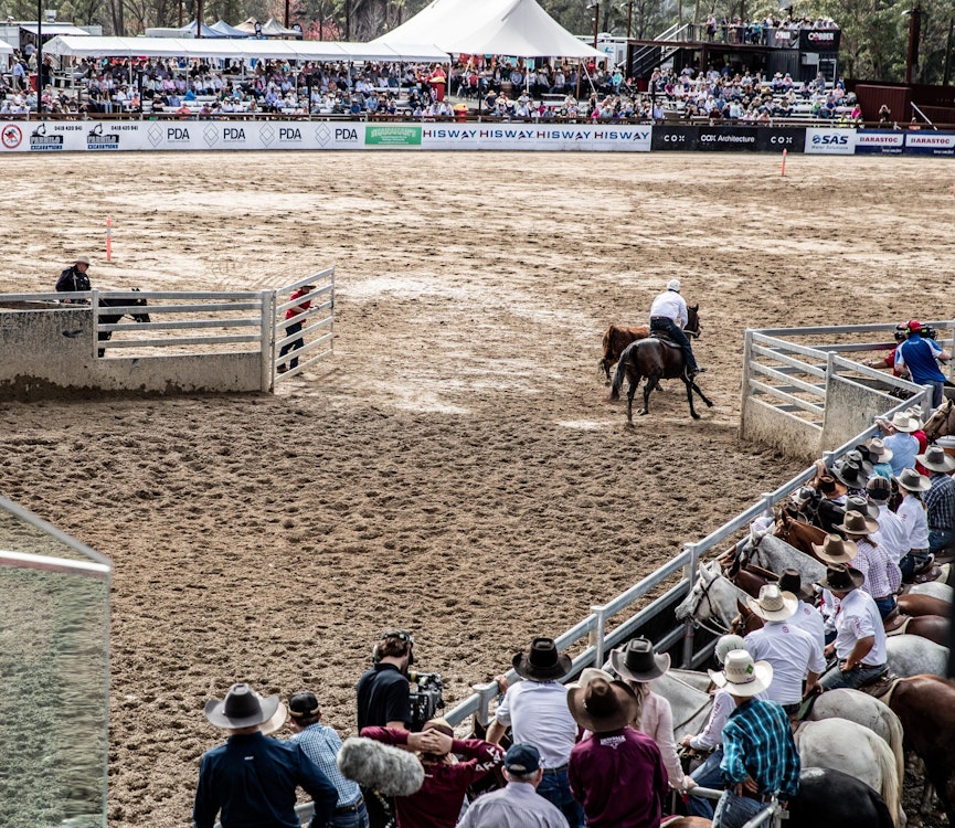 Image for Campdraft 2022