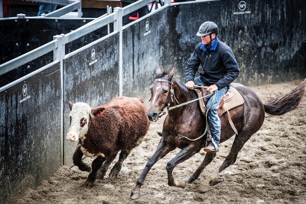 Image for Campdraft 2022
