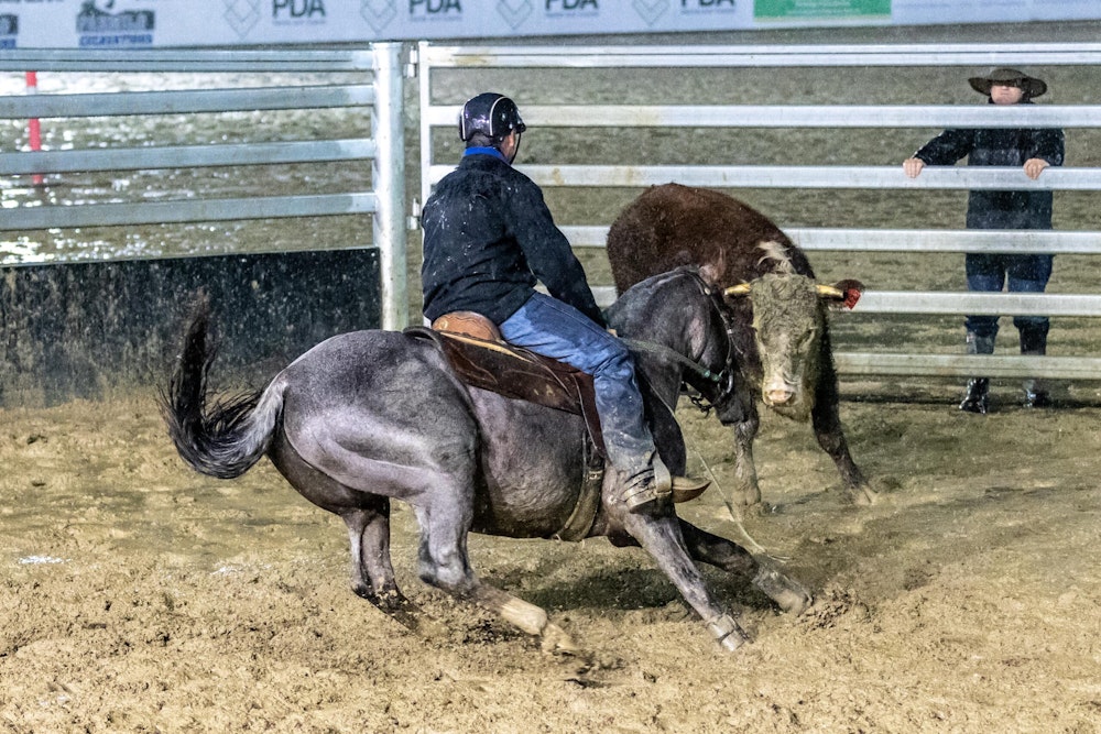 Image for Campdraft 2022