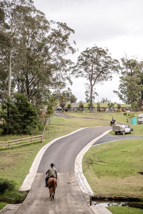 Image for Campdraft 2022