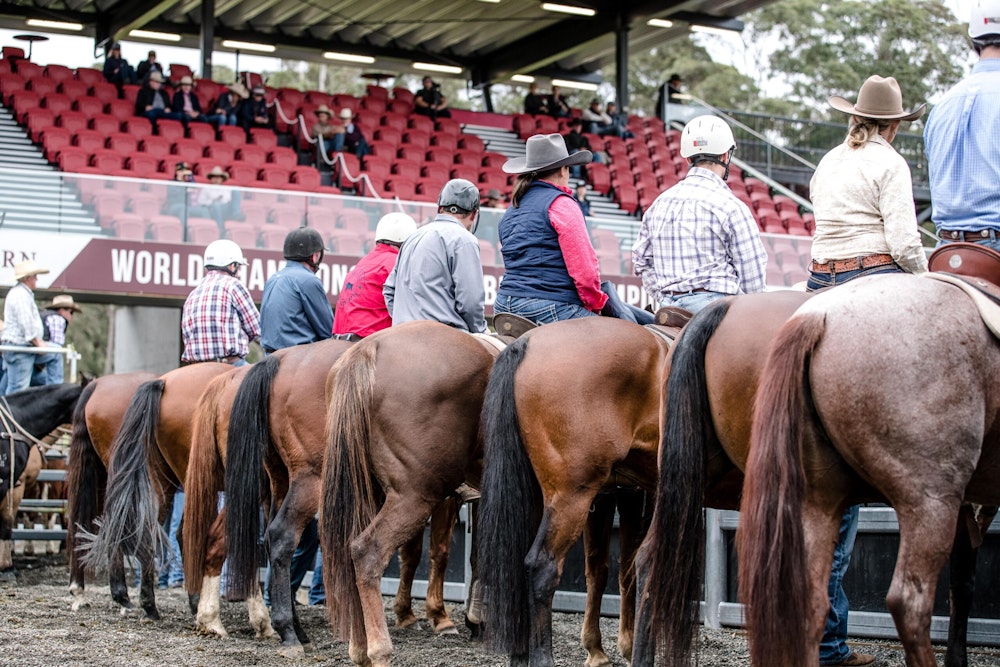 Image for Campdraft 2022
