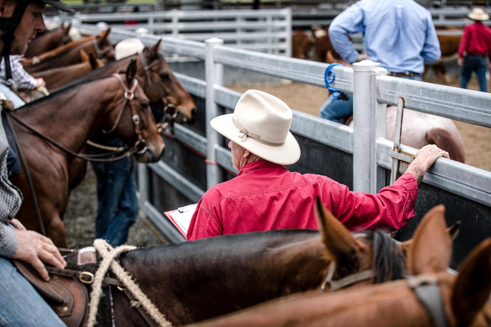 Image for Campdraft 2022