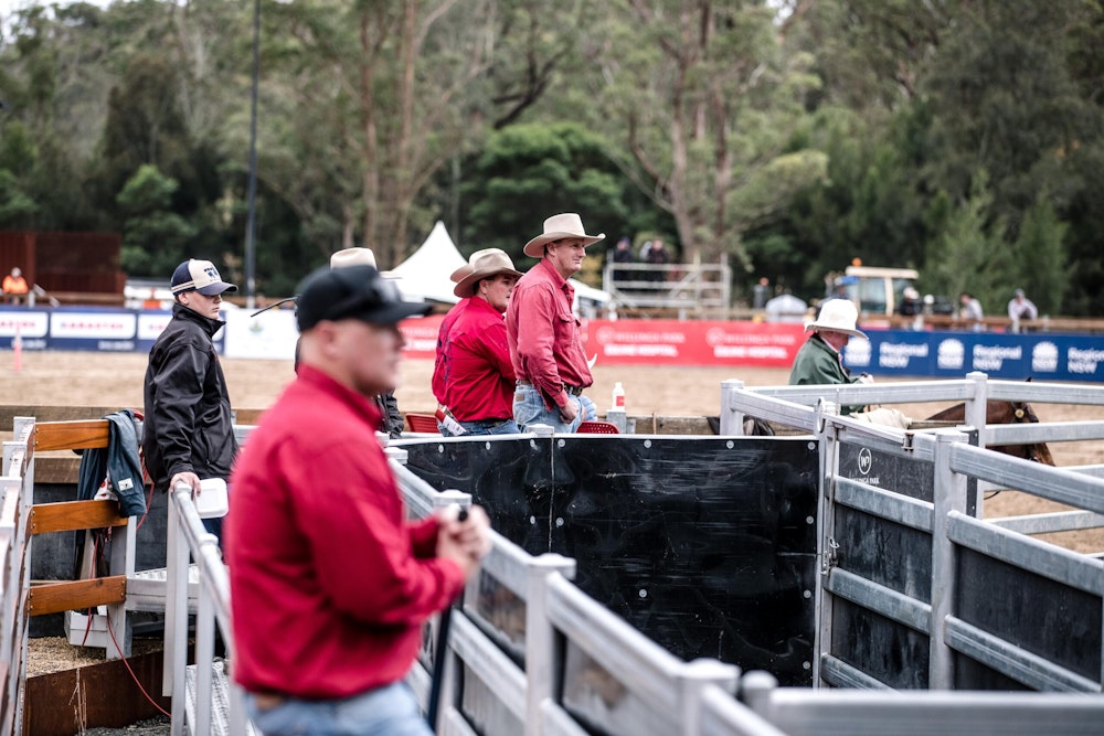 Image for Campdraft 2022