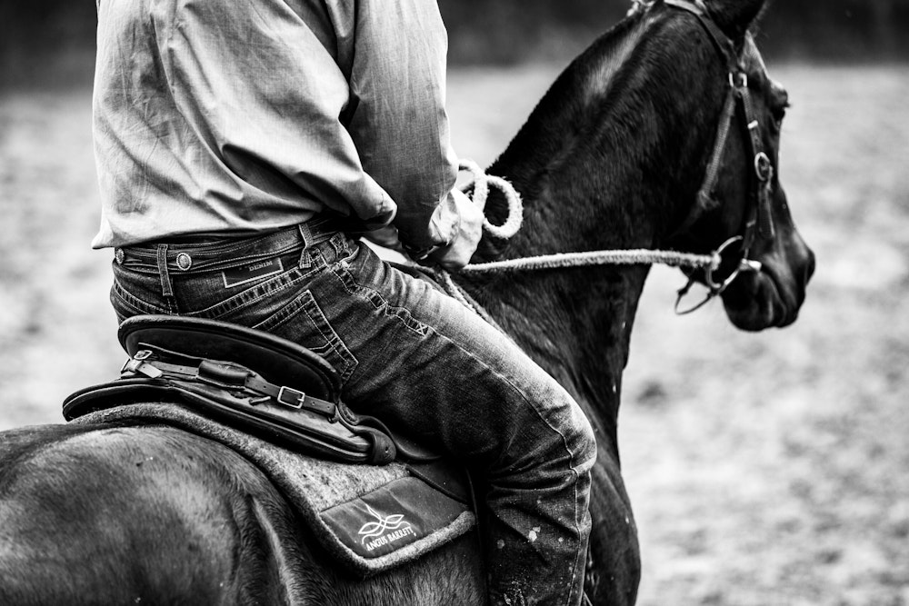 Image for Campdraft 2022