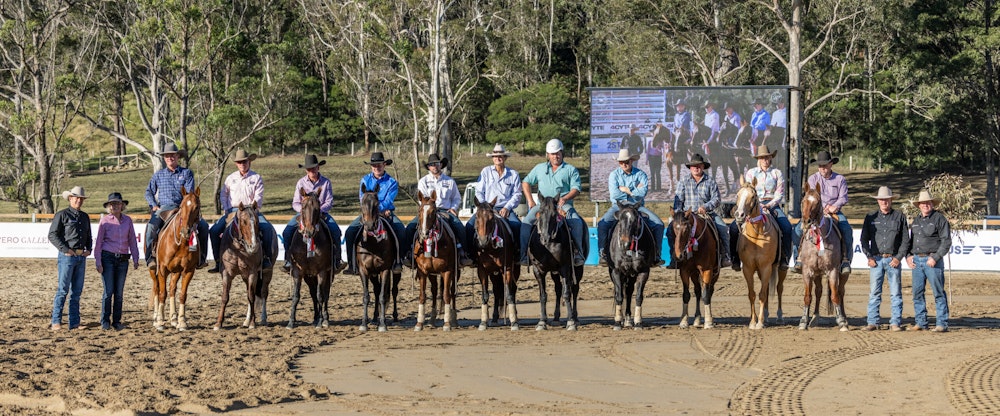 Image for Campdraft Championship 2023