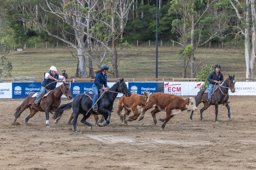 Image for Campdraft Championship 2023