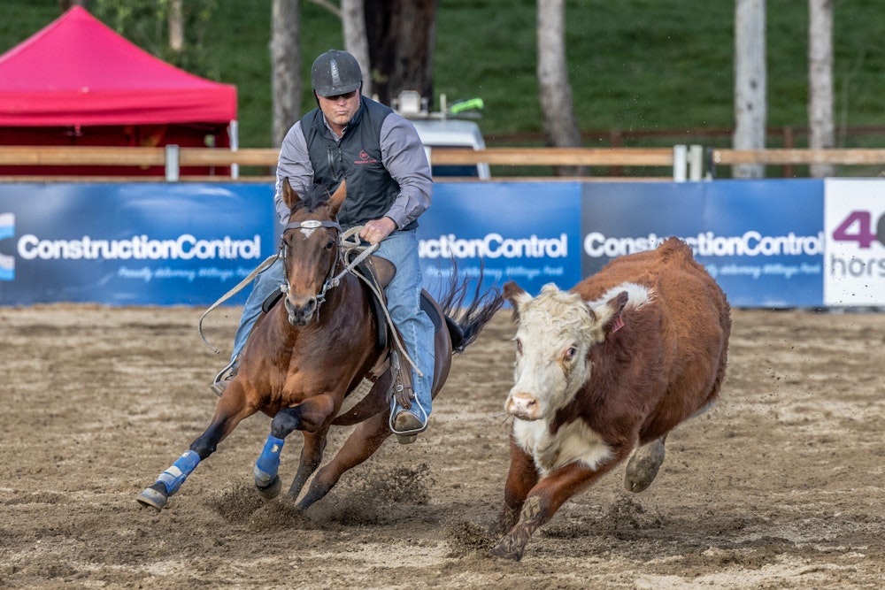 Image for Campdraft Championship 2023