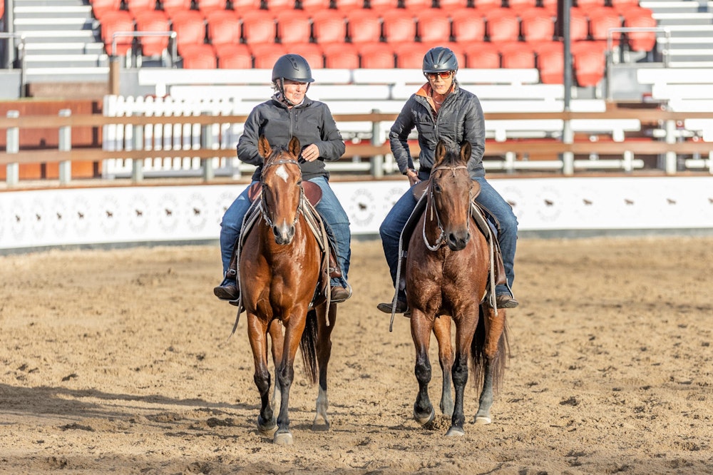 Image for Campdraft Championship 2023