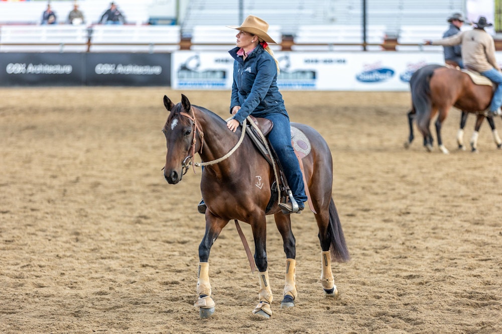 Image for Campdraft Championship 2023