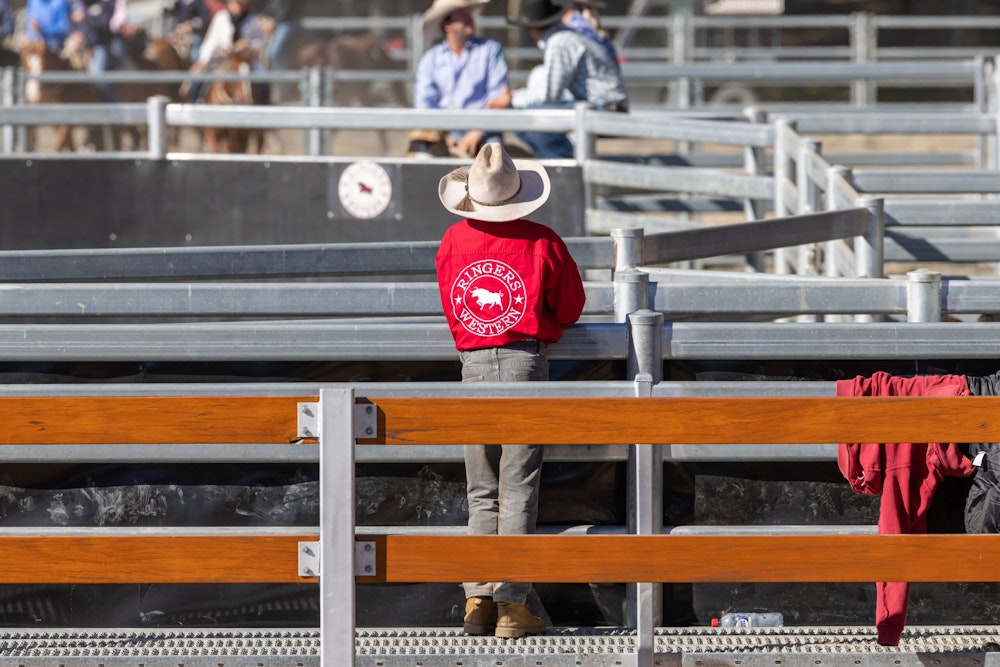 Image for Campdraft Championship 2023