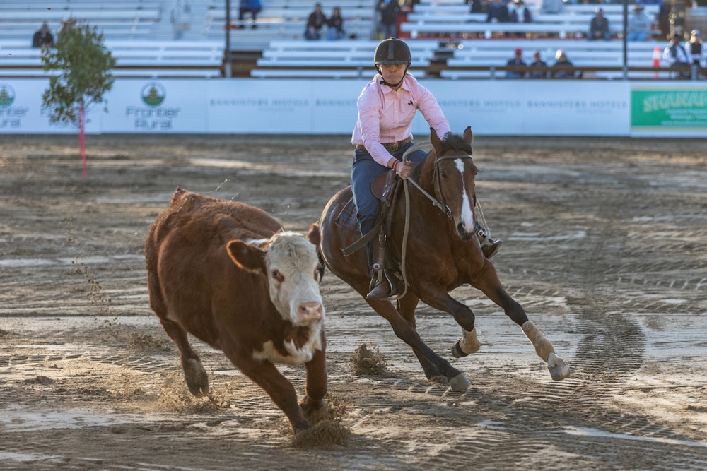 Image for Campdraft Championship 2023