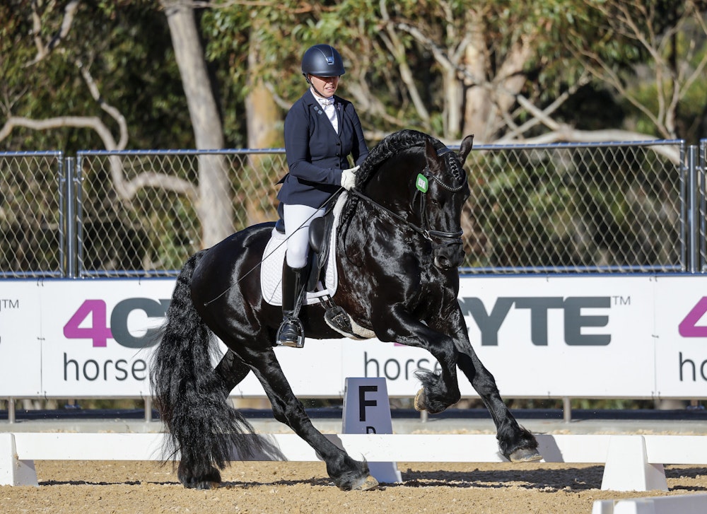 Image for Dressage@Willinga Results