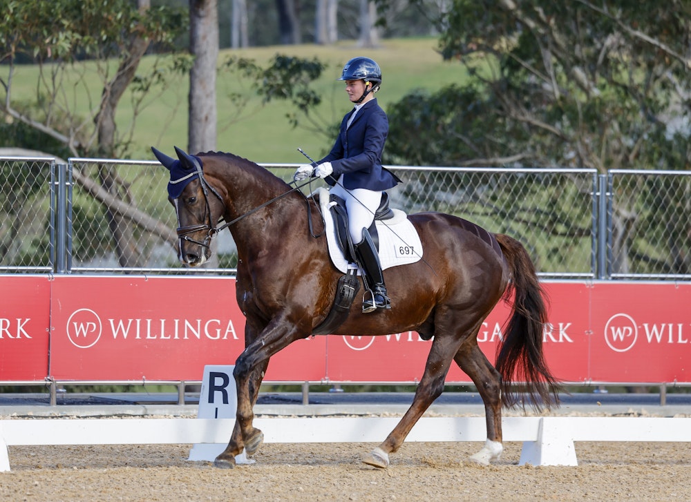 Image for Dressage@Willinga Results
