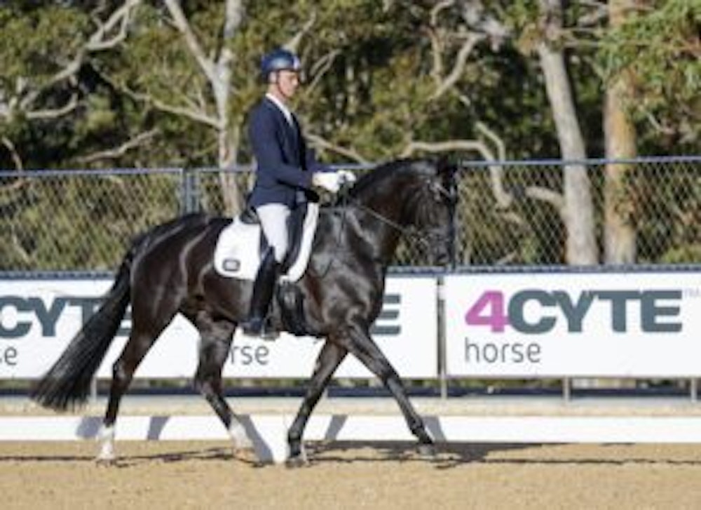 Image for Dressage@Willinga Results
