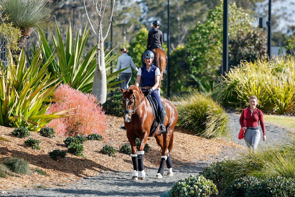 Image for Dressage@Willinga Results