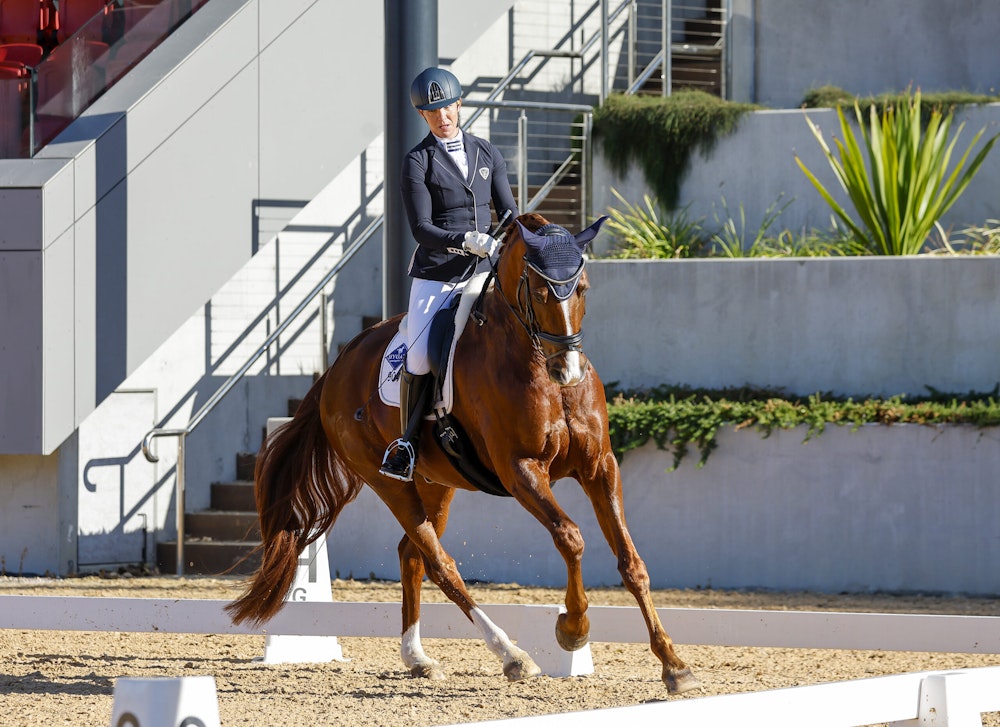 Image for Dressage@Willinga Results