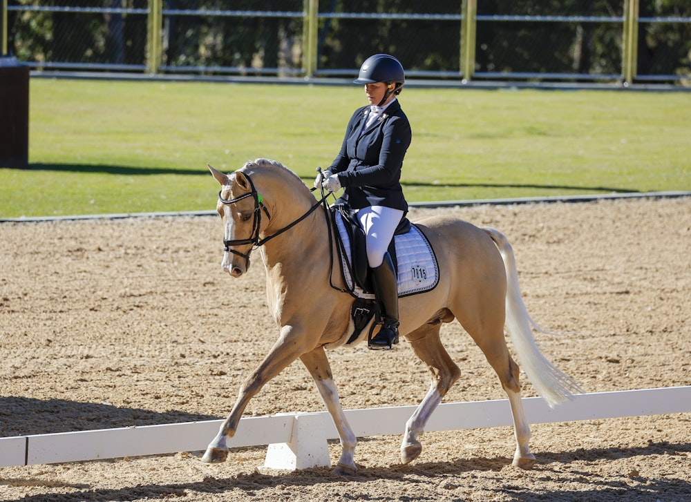 Image for Dressage@Willinga Results