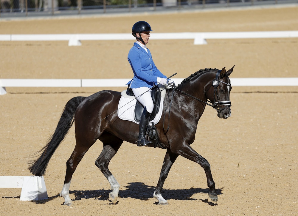 Image for Dressage@Willinga Results