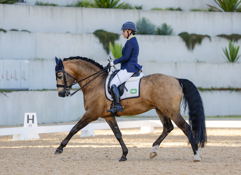 Image for Dressage@Willinga Results