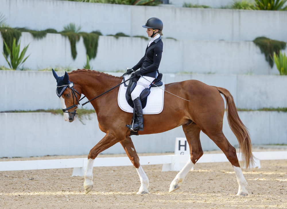 Image for Dressage@Willinga Results