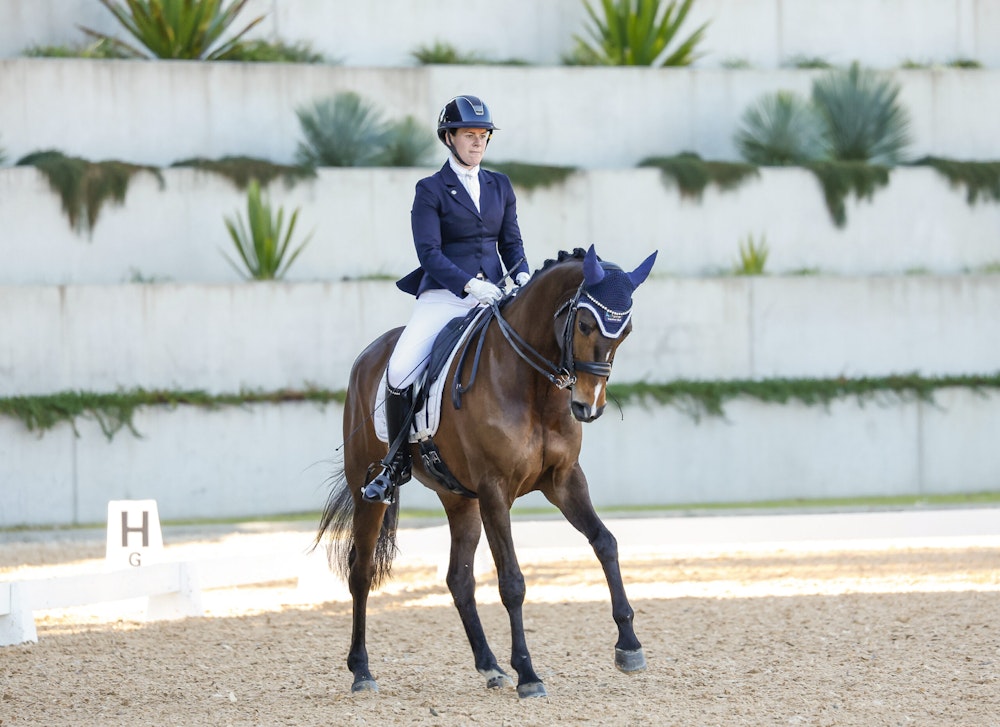 Image for Dressage@Willinga Results