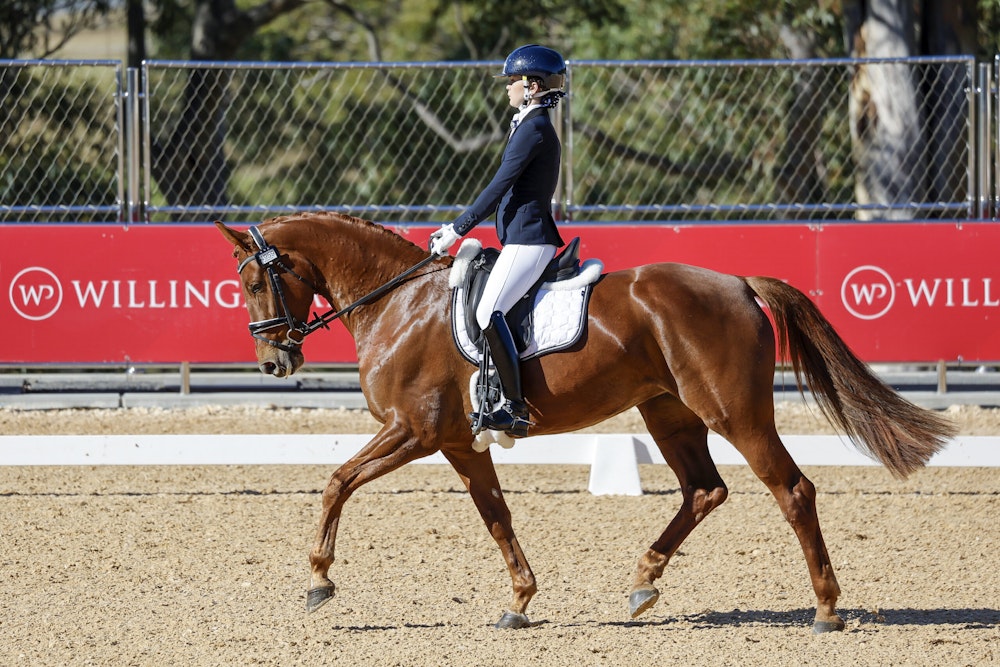 Image for Dressage@Willinga Results