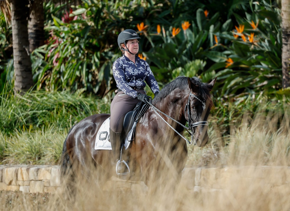 Image for Dressage@Willinga Results