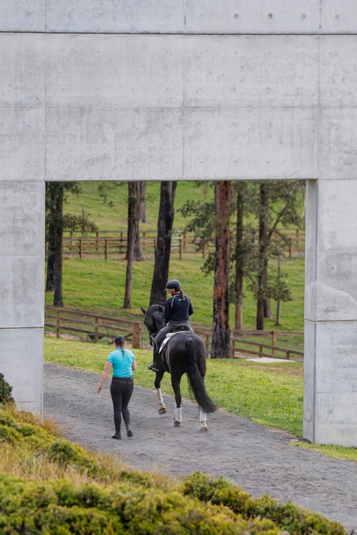 Image for Dressage@Willinga Results