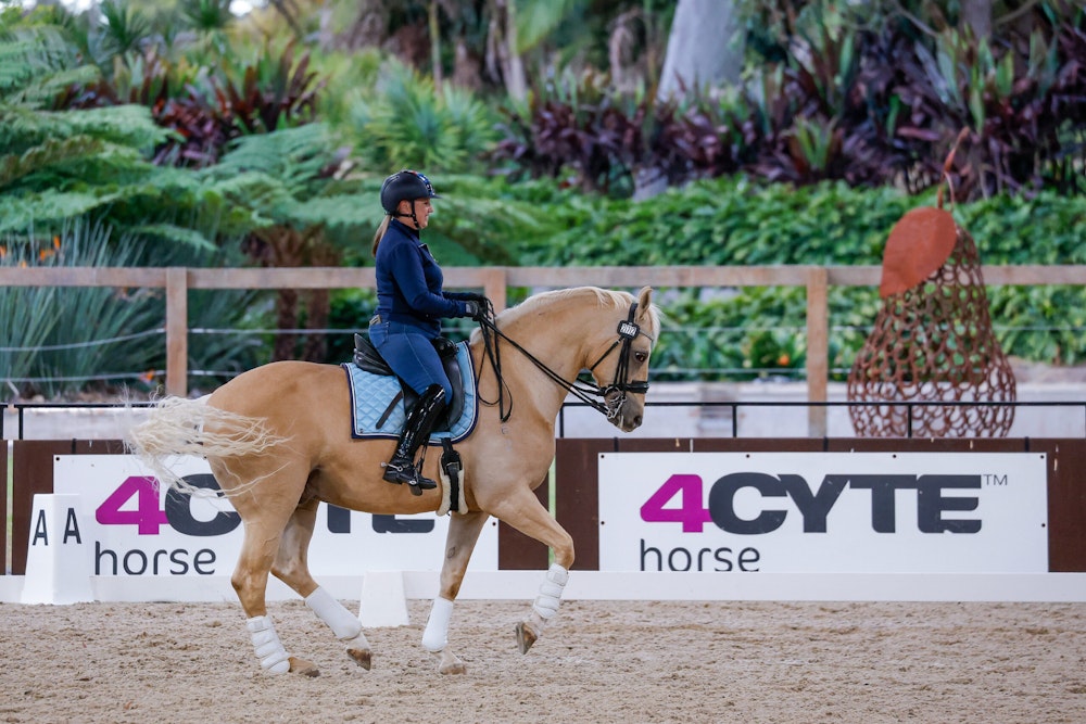 Image for Dressage@Willinga Results