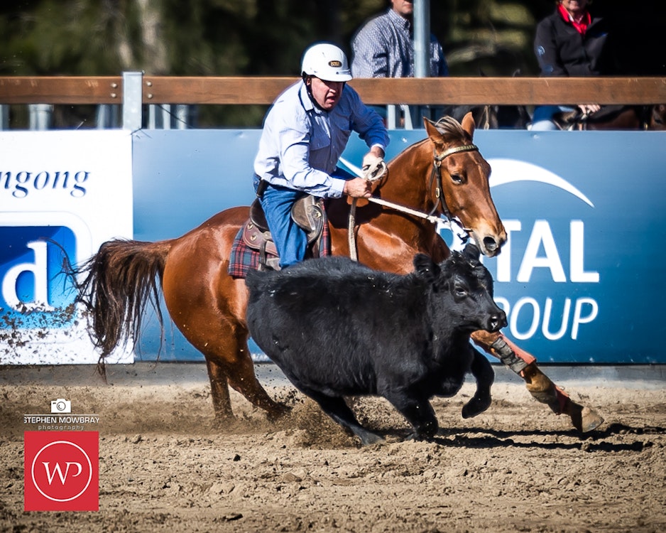 Image for Campdraft Round 1 Results and Photos