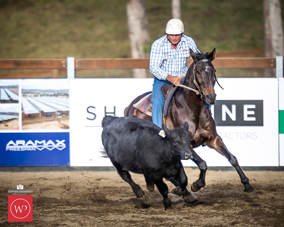 Image for Campdraft Round 1 Results and Photos