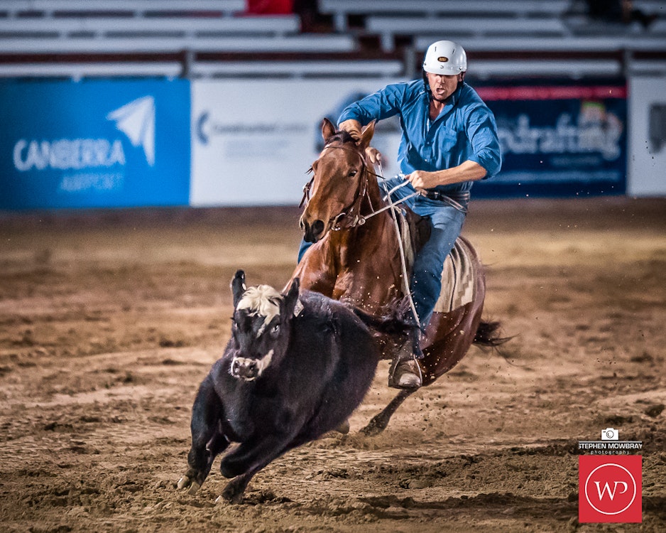 Image for Campdraft Round 1 Results and Photos