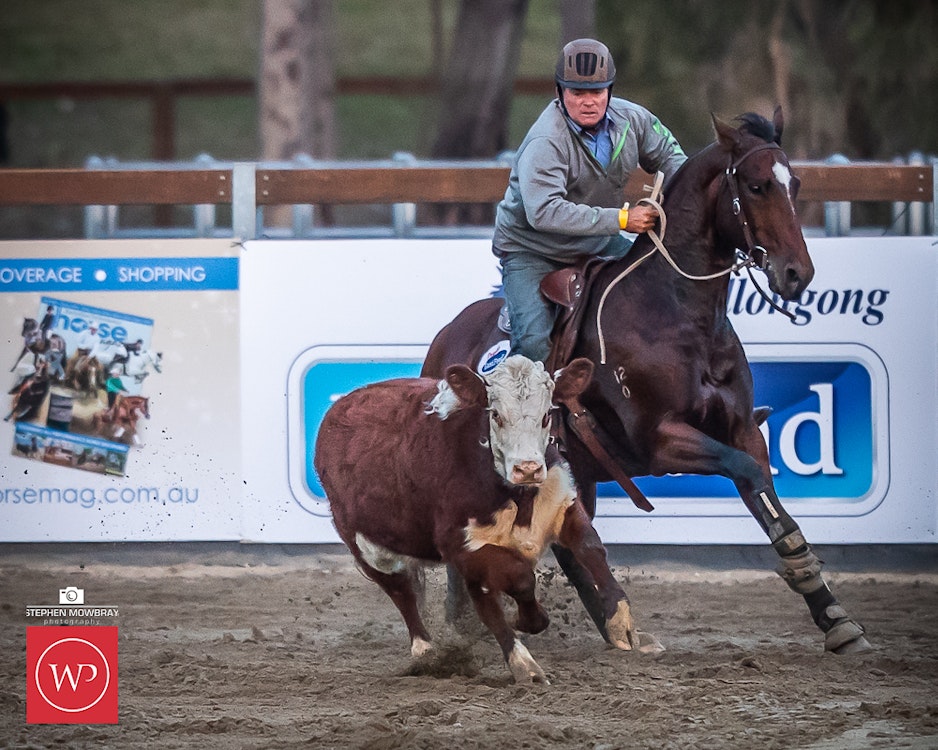 Image for Campdraft Round 1 Results and Photos