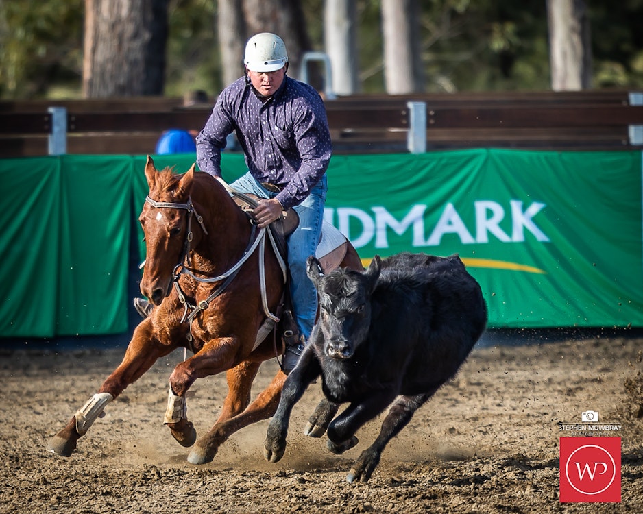 Image for Campdraft Round 1 Results and Photos