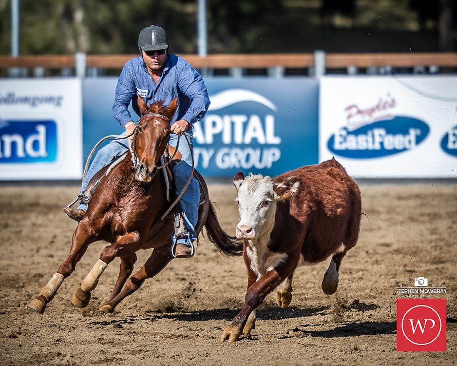 Image for Campdraft Round 1 Results and Photos