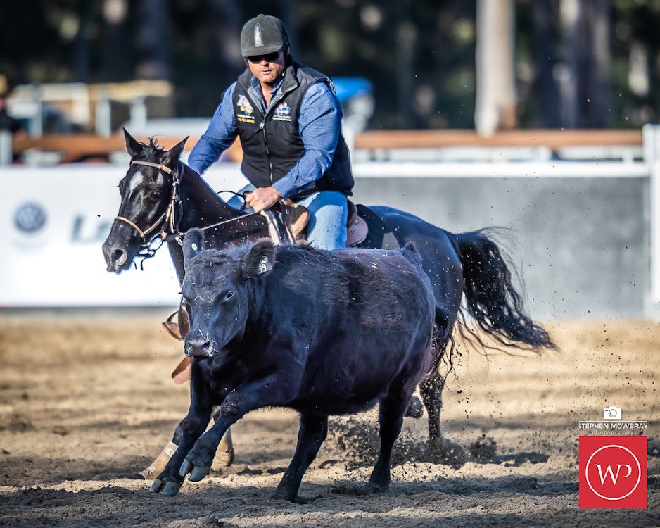 Image for Campdraft Round 1 Results and Photos