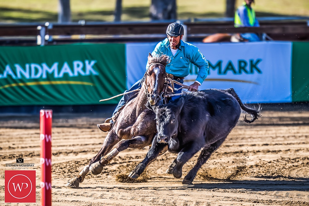 Image for Campdraft Round 1 Results and Photos