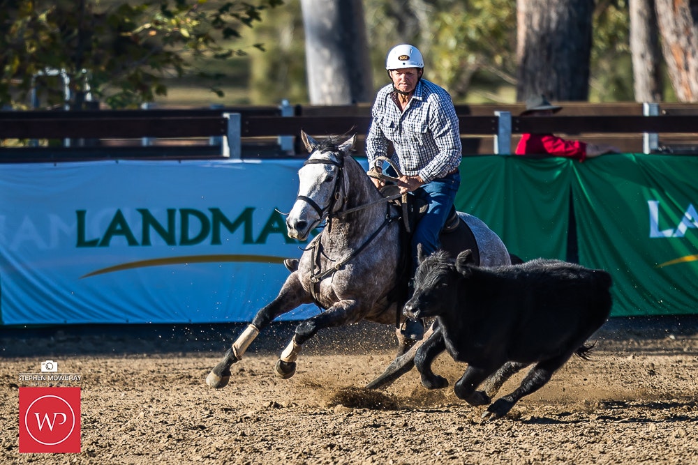 Image for Campdraft Round 2 Results and Photos