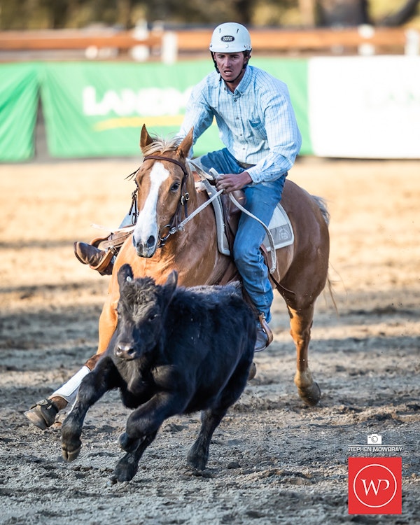 Image for Campdraft Round 2 Results and Photos