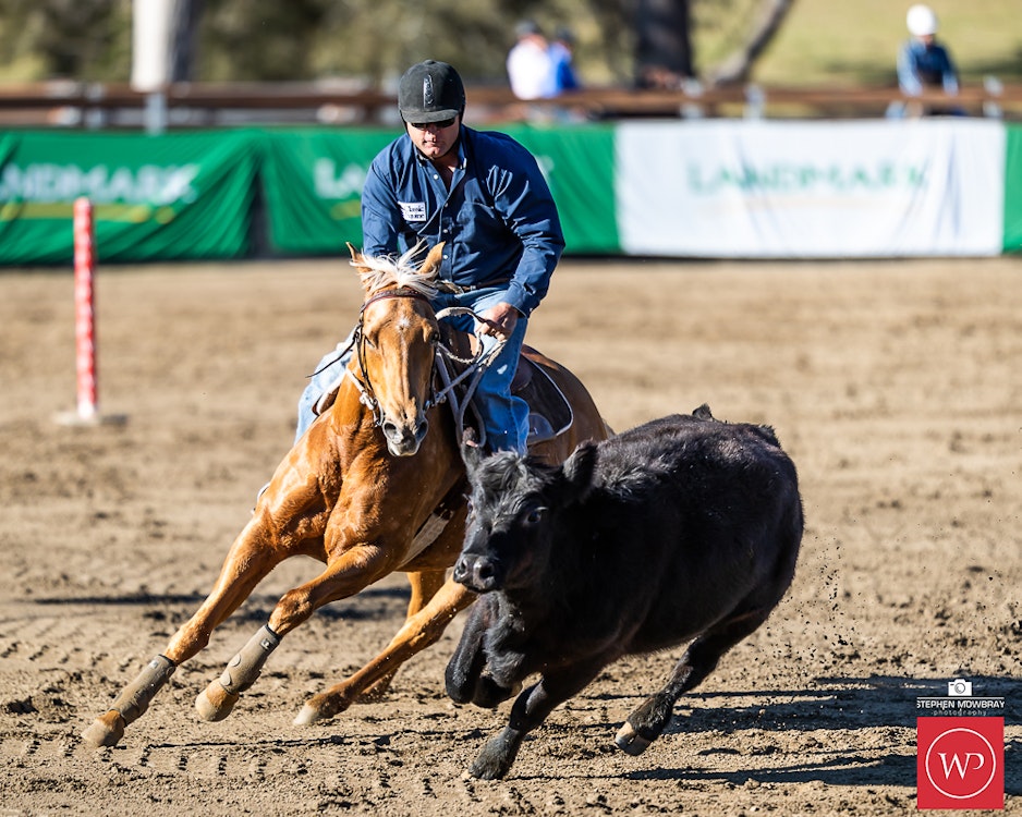 Image for Campdraft Round 2 Results and Photos