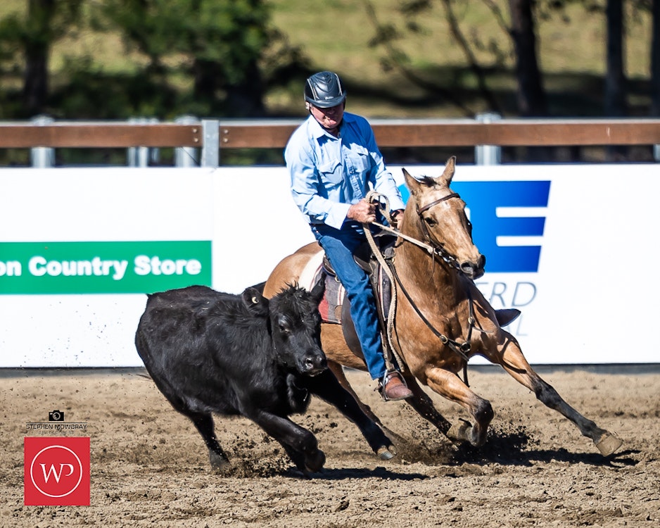 Image for Campdraft Round 2 Results and Photos