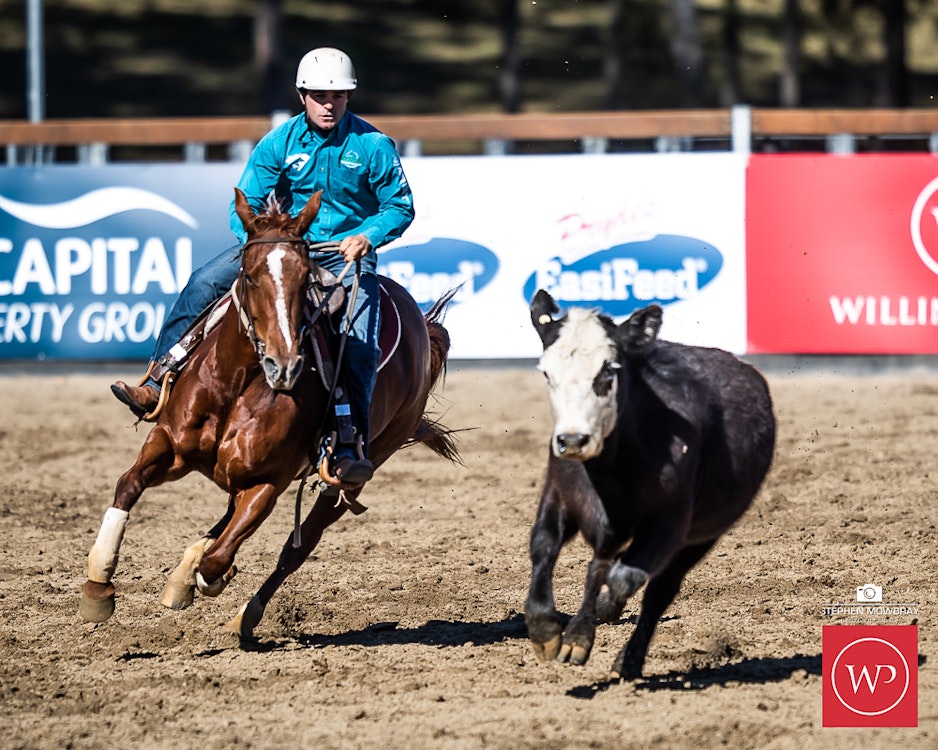 Image for Campdraft Round 2 Results and Photos